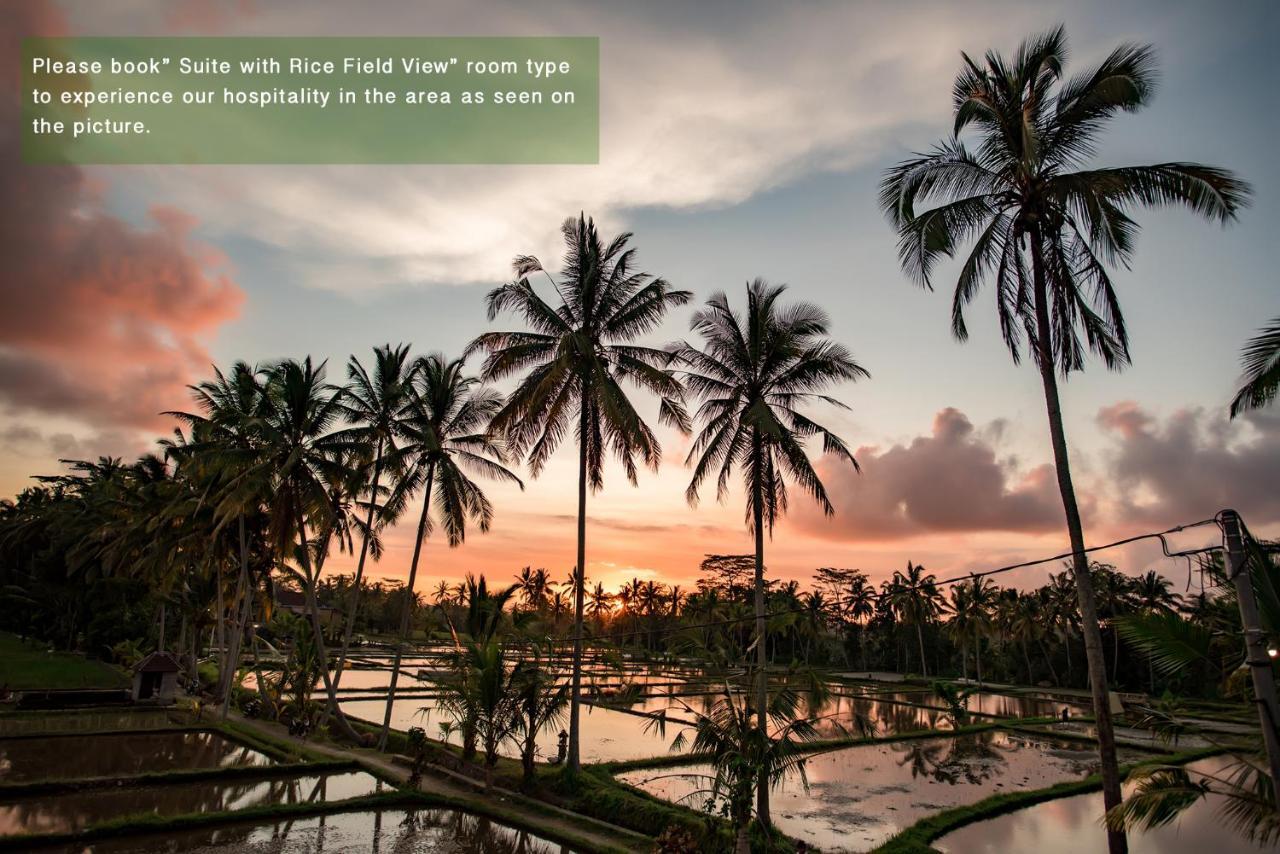 Ayu Duwur Beji Hotel Ubud  Exterior photo